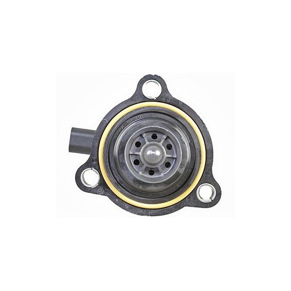 Wastegate 12V