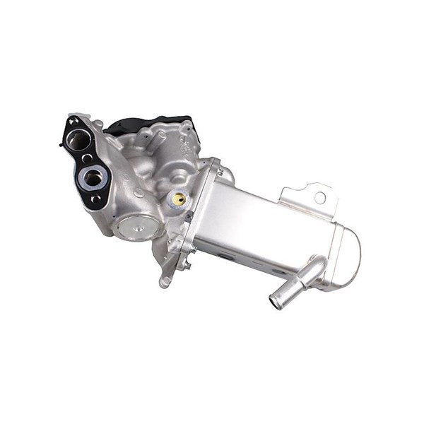 EGR-modul 12V