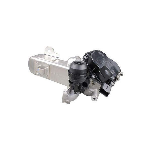 EGR-modul 12V