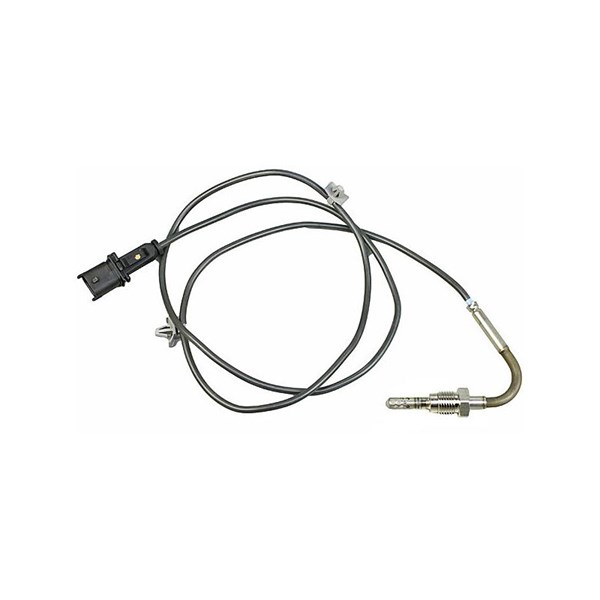 Sensor, avgastemperatur