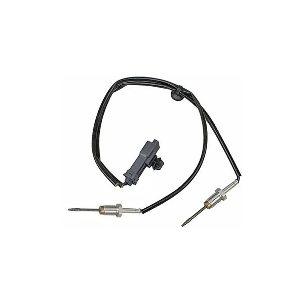 Sensor, avgastemperatur