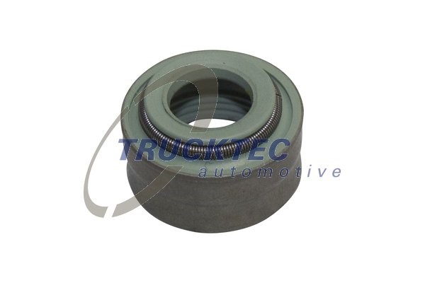 Ventilpackning, Insugssidan, Avgas-/utsläppssidan Trucktec automo TRUCKTEC AUTOMOTIVE Ventilpackning, Insugssidan, Avgas-/utsläppssidan Trucktec automo TRUCKTEC AUTOMOTIVE