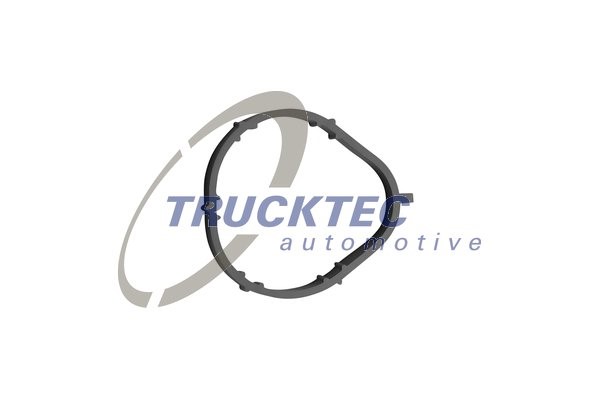 Packning, insugsgrenrör Trucktec automotive 02.16.006 TRUCKTEC AUTOMOTIVE