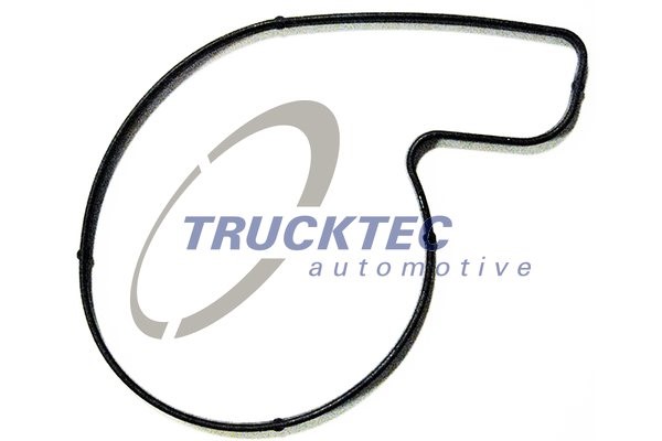 Packning, vattenpump Trucktec automotive 02.19.018 TRUCKTEC AUTOMOTIVE
