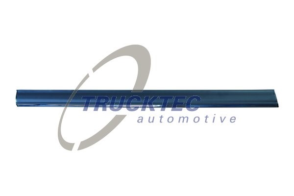 Instegslist, Vänster fram, Nedre Trucktec automotive 02.52.132 TRUCKTEC AUTOMOTIVE