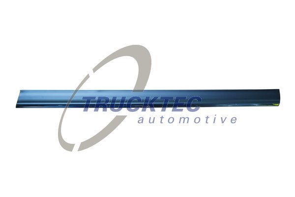 Instegslist, Höger fram, Nedre Trucktec automotive 02.52.134 TRUCKTEC AUTOMOTIVE