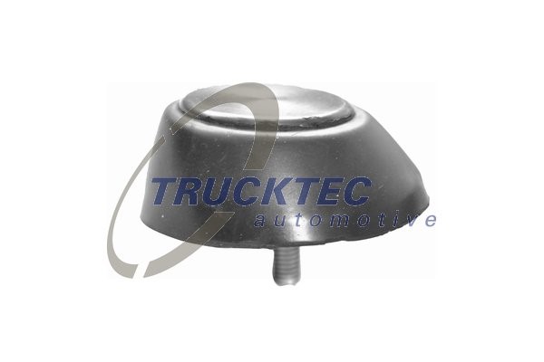 Dörrhållare, Baklucka (-dörr) Trucktec automotive 02.53.221 TRUCKTEC AUTOMOTIVE