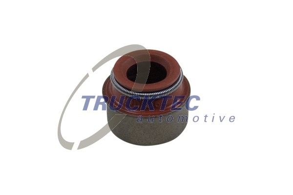 Ventilpackning, Insugssidan, Avgas-/utsläppssidan Trucktec automo TRUCKTEC AUTOMOTIVE Ventilpackning, Insugssidan, Avgas-/utsläppssidan Trucktec automo TRUCKTEC AUTOMOTIVE