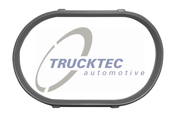 Packning, insugsgrenrör Trucktec automotive 08.10.062 TRUCKTEC AUTOMOTIVE