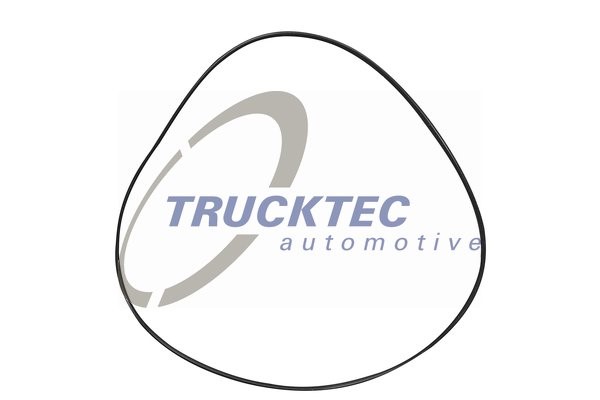 Ringtätning, kylvätskerör Trucktec automotive 08.17.019 TRUCKTEC AUTOMOTIVE
