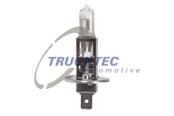 Halogenlampa TRUCKTEC AUTOMOTIVE H1 P14,5s Trucktec automotive 88 TRUCKTEC AUTOMOTIVE