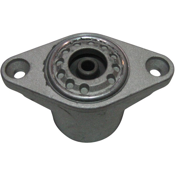 Fjäderbenslager, Bakaxel, båda sidor Aic 52530 AIC