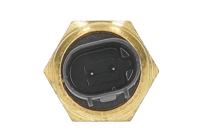 Sensor, kylvätsketemperatur Aic 53154 AIC