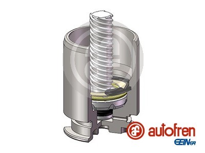 Kolv, bromsok, Bakaxel Autofren seinsa D025422LK AUTOFREN SEINSA