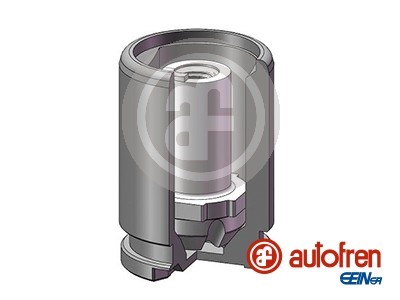 Kolv, bromsok, Bakaxel Autofren seinsa D025602K AUTOFREN SEINSA