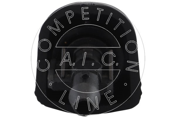 Munstycke, vindrutespolning, Fram, Tvåsidig Aic 57940 AIC