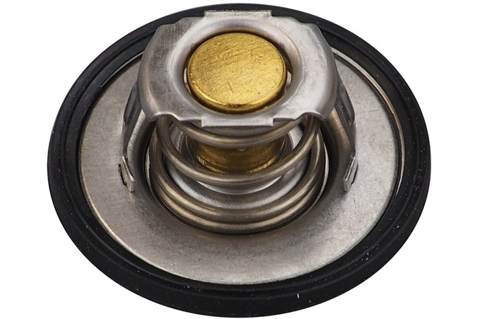 Termostat, kylvätska Aic 58101 AIC
