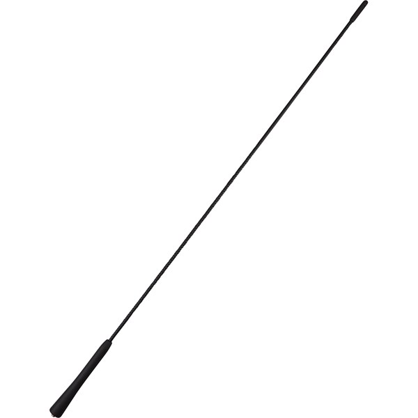 Antenn AIC