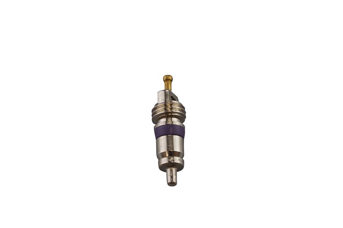 Ventilkätna, serviveventil Aic 71323 AIC