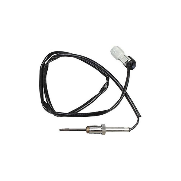 Sensor, avgastemperatur