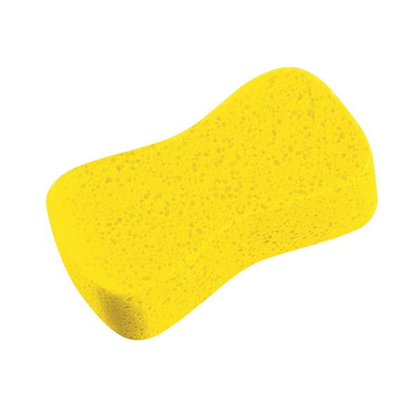 Jumbo sponge, Universal Lampa