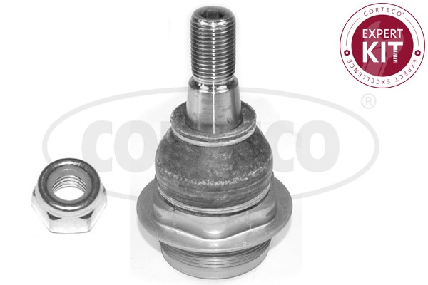 Kulled / Spindelled, framaxel höger, Nedre Corteco 49395732 CORTECO