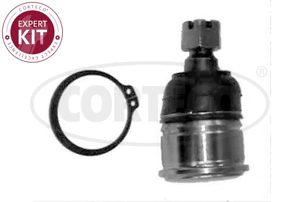 Kulled / Spindelled, Nedre framaxel, Tvåsidig Corteco 49395816 CORTECO