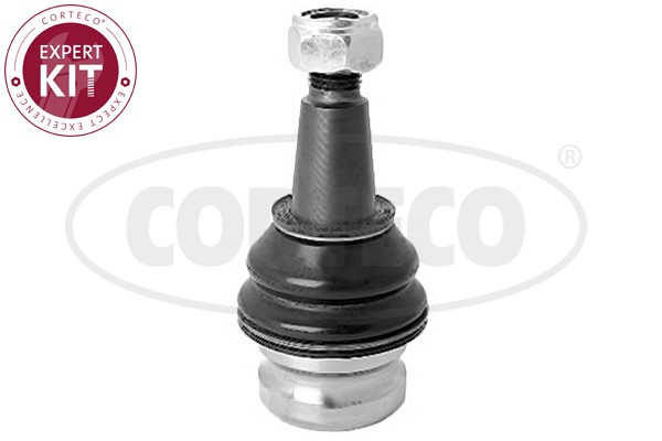 Kulled / Spindelled, Fram, höger eller vänster Corteco 49395958 CORTECO