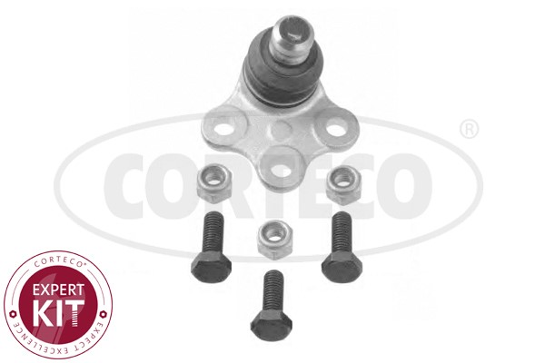 Kulled / Spindelled, framaxel höger, Nedre Corteco 49395980 CORTECO