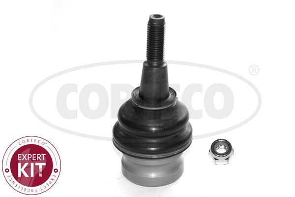 Kulled / Spindelled, Fram, höger eller vänster Corteco 49398755 CORTECO