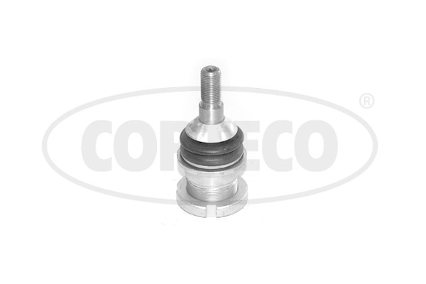 Kulled / Spindelled, Fram, höger eller vänster, Nedre Corteco 493 CORTECO Kulled / Spindelled, Fram, höger eller vänster, Nedre Corteco 493 CORTECO