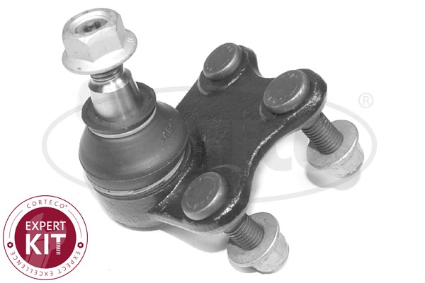 Kulled / Spindelled, framaxel höger, Nedre Corteco 49398860 CORTECO
