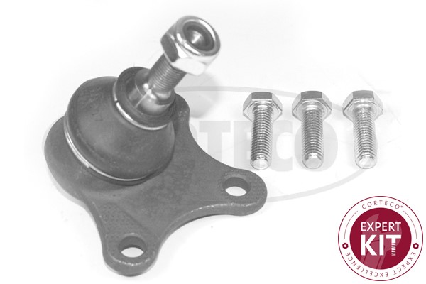 Kulled / Spindelled, Nedre framaxel, Höger Corteco 49399222 CORTECO