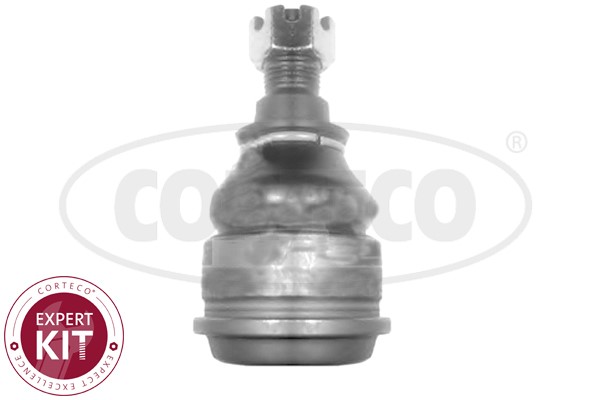 Kulled / Spindelled, Nedre framaxel, Tvåsidig Corteco 49399503 CORTECO