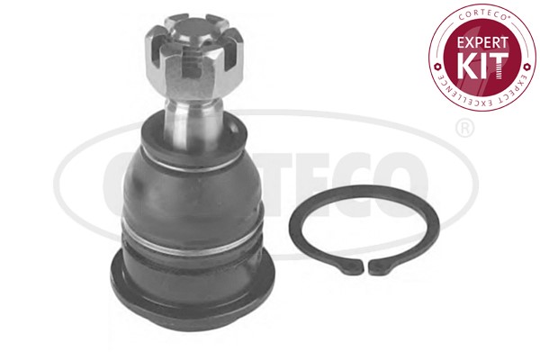 Kulled / Spindelled, Tvåsidig, Nedre Corteco 49399783 CORTECO