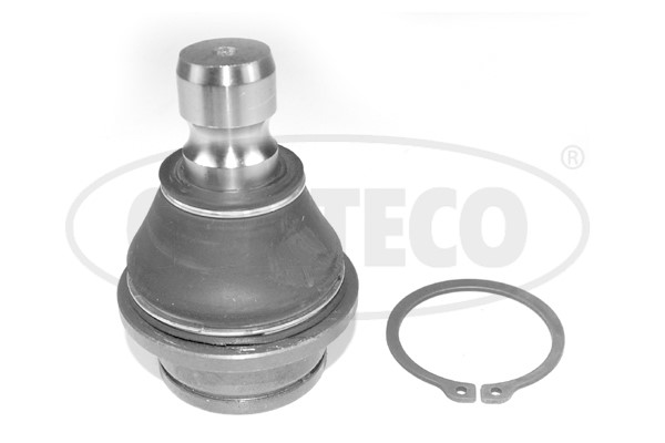 Kulled / Spindelled, Fram, höger eller vänster, Nedre Corteco 494 CORTECO Kulled / Spindelled, Fram, höger eller vänster, Nedre Corteco 494 CORTECO