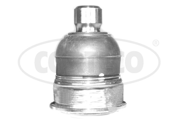 Kulled / Spindelled, Fram, höger eller vänster, Nedre Corteco 494 CORTECO Kulled / Spindelled, Fram, höger eller vänster, Nedre Corteco 494 CORTECO
