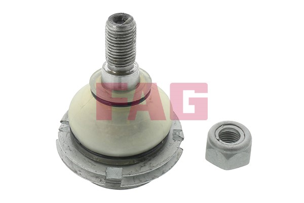 Kulled / Spindelled, Framaxel Fag 825 0255 10 FAG