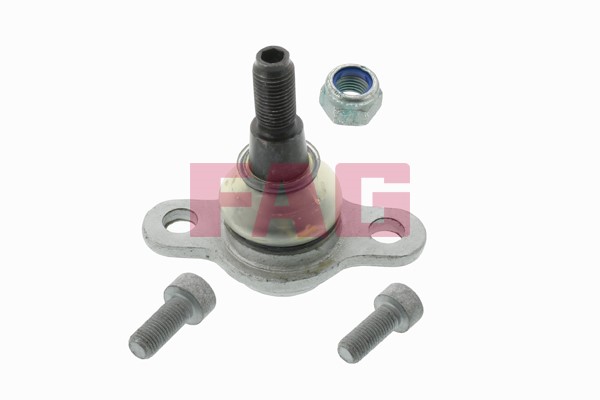 Kulled / Spindelled, Framaxel Fag 825 0266 10 FAG