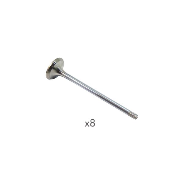 Insugsventil Borsehung B10322 Borsehung