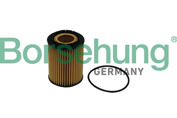 Oljefilter Borsehung B10516 Borsehung