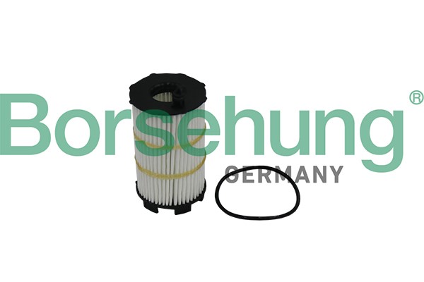 Oljefilter Borsehung B10517 Borsehung