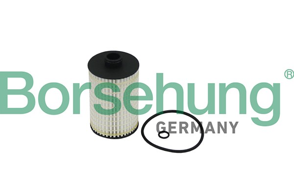 Oljefilter Borsehung B10519 Borsehung