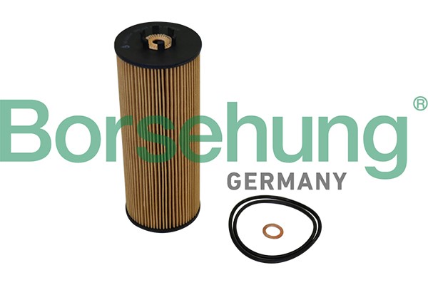 Oljefilter Borsehung B10544 Borsehung
