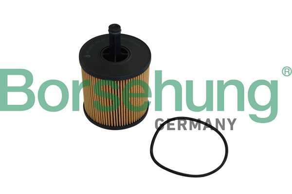 Oljefilter Borsehung B10548 Borsehung