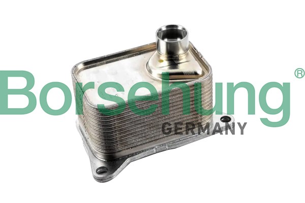Oljekylare, motor Borsehung B10877 Borsehung