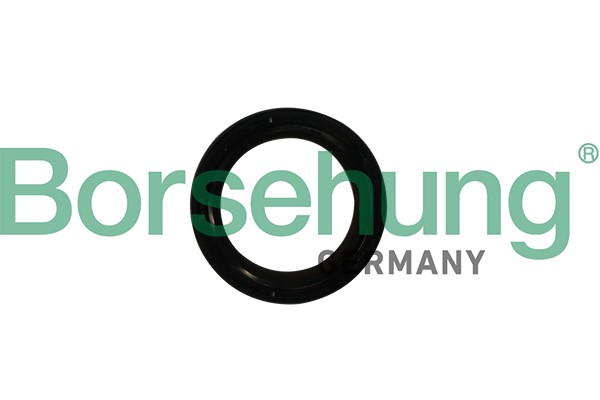 Oljepackningsring, vevaxel, Fram Borsehung B12179 Borsehung