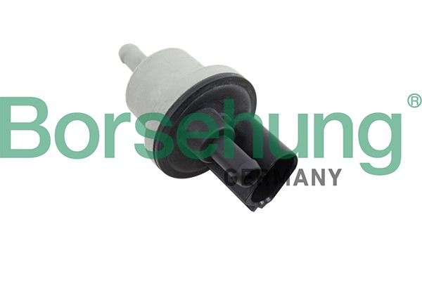Ventil, aktivtkolfilter Borsehung B12188 Borsehung