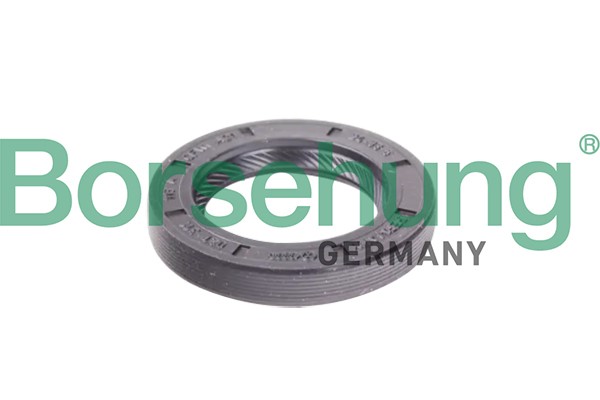 Oljepackningsring, manuell transmission Borsehung B12191 Borsehung Oljepackningsring, manuell transmission Borsehung B12191 Borsehung