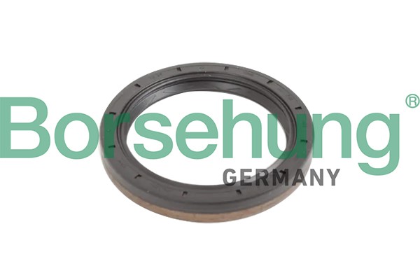 Axelpackningsring, manuell transmission Borsehung B12193 Borsehung